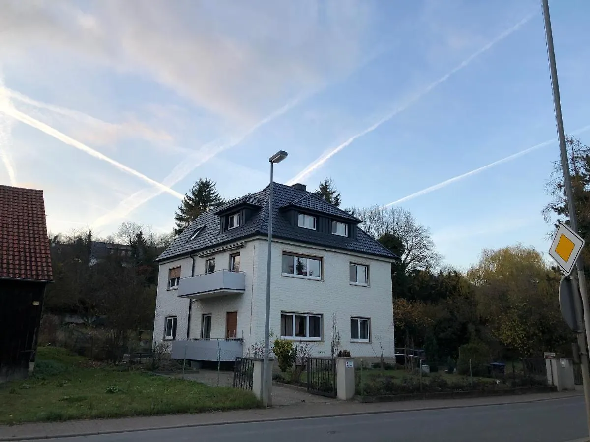 Apartment In Gelb, Mit Balkon, Kamin, 50 Schritte Zu Radweg, Ideal For Long Stay, 4 Singles In Single Rooms Mainstockheim Penzion
